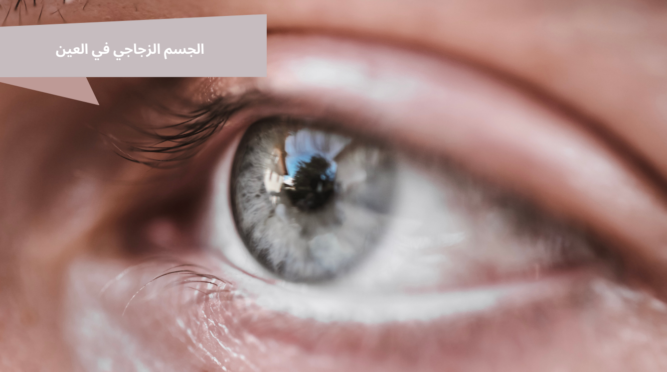 تعرف على كل ما يخص الجسم الزجاجي في العين، أعراض الانفصال والعتامة، الذباب الطائر، طرق التشخيص والعلاج الحديثة للحفاظ على صحة العين والرؤية.